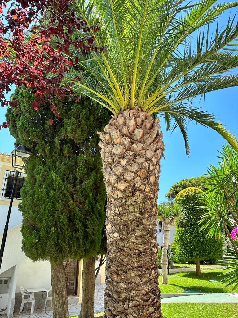 Casa De Familia Vera Coast Екстериор снимка